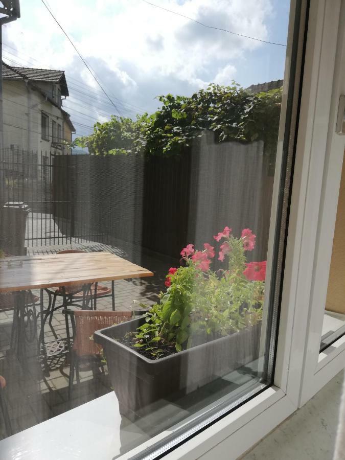 Vintage Apartment - Ultracentral, 2 Dormitoare Сигишоара Екстериор снимка